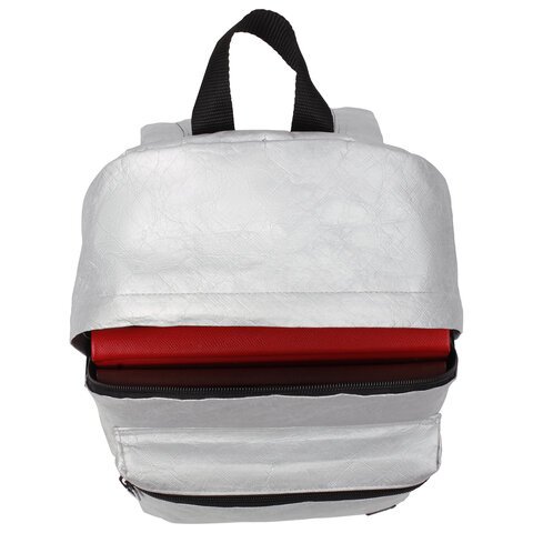 Рюкзак BRAUBERG TYVEK крафтовый с водонепроницаемым покрытием, серебристый, 34х26х11 см, 229891