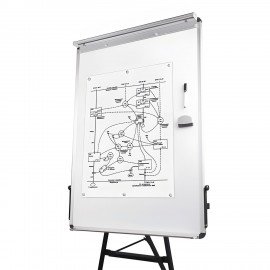 Доска-флипчарт магнитно-маркерная 70х100 см, тренога, ГАРАНТИЯ 10 ЛЕТ, BRAUBERG, 231720