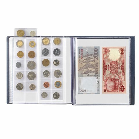 Альбом для монет и купюр на винтах универсальный, 224х224 мм, на 216 монет до D-45 мм, выдвижные карманы, синий, "ДПС", 2855-201