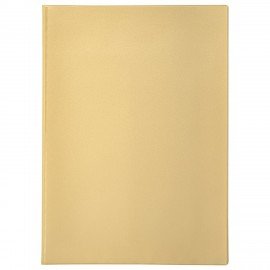 Папка для семейных документов с файлами (паспорта, свидетельства, полисы, СНИЛС) STAFF, 16 отделений, ПВХ, бежевая, 237808