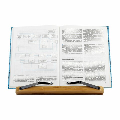 Подставка для книг и планшетов бамбуковая BRAUBERG, 28х20 см, регулируемый наклон, 237895