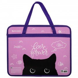 Папка на молнии с ручками BRAUBERG А4, 1 отделение, пластик, 80 мм, "Black Cat", 270122
