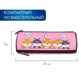 Пенал мягкий BRAUBERG, 3 отделения, нейлон, 21х7х7 см, "Puppies", 270839