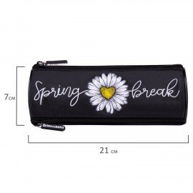 Пенал BRAUBERG, 3 отделения, нейлон, 21х7х7 см, "Spring", 270840
