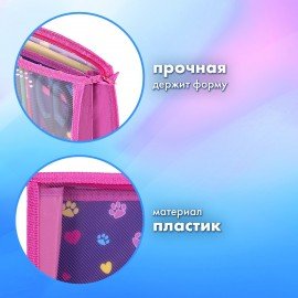 Папка для труда на молнии BRAUBERG А4, 2 отделения, органайзер, "Playing kitty", 270976