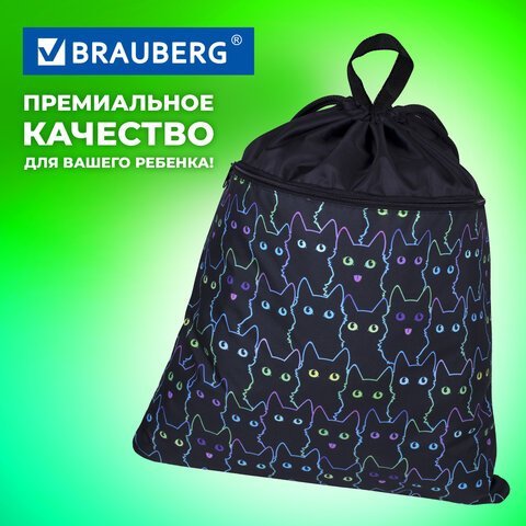 Мешок для обуви BRAUBERG БОЛЬШОЙ, с ручкой, карман на молнии, сетка, 49х41 см, "Cats", 271059