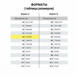 Папка на молнии с ручками BRAUBERG А4, 1 отделение, полиэстер, 80 мм, "Funny panda", 271127