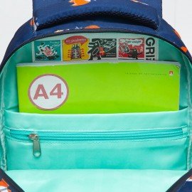 Рюкзак GRIZZLY школьный, анатомическая спинка, с пеналом в комплекте, для девочек, "FOXES", 40х27х20 см, RG-260-6/1