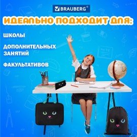 Папка на молнии с ручками А4, мешок для обуви 42х33 см, пенал 20х10 см, "Black cat" НАБОР BRAUBERG, 271434