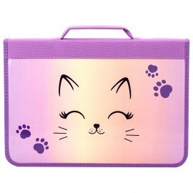 Папка на молнии BRAUBERG А4 с ручкой, с органайзером, 1 отделение, "Cheerful", 271448