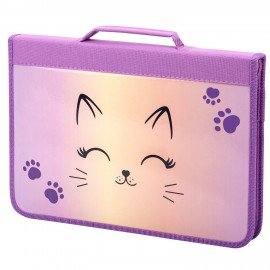 Папка на молнии BRAUBERG А4 с ручкой, с органайзером, 1 отделение, "Cheerful", 271448