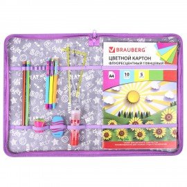 Папка на молнии BRAUBERG А4 с ручкой, с органайзером, 1 отделение, "Cheerful", 271448