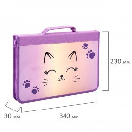 Папка на молнии BRAUBERG А4 с ручкой, с органайзером, 1 отделение, "Cheerful", 271448