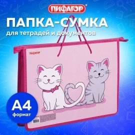 Папка на молнии с ручками ПИФАГОР А4, 1 отделение, пластик, ручки-шнурок, "Best Buds", 271469
