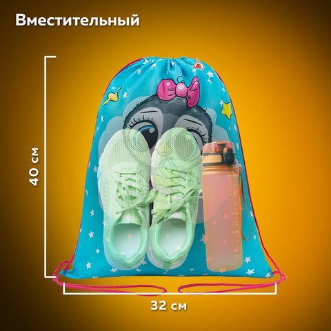 Мешок для обуви ПИФАГОР, 1 отделение, 40х32 см, "Smart penguin", 271602