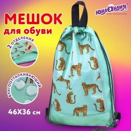 Мешок для обуви ЮНЛАНДИЯ, с ручками, боковой карман на молнии, 46х36 см, "Wild Cats", 271614