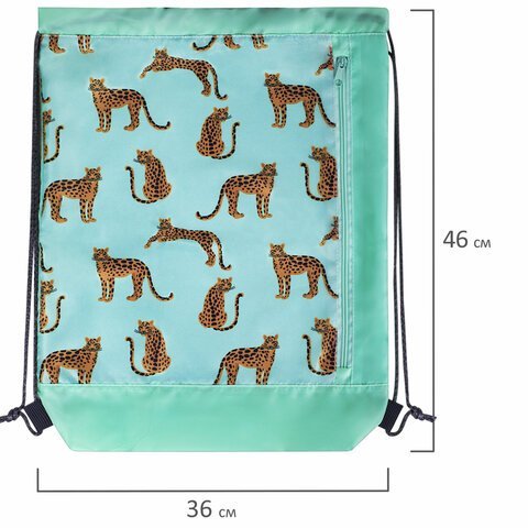 Мешок для обуви ЮНЛАНДИЯ, с ручками, боковой карман на молнии, 46х36 см, "Wild Cats", 271614
