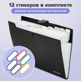 Папка-органайзер на кнопке 12 отделений, BRAUBERG "Extra", А4, черная с белым, 271930