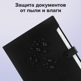 Папка-органайзер на кнопке 12 отделений, BRAUBERG "Extra", А4, черная с белым, 271930