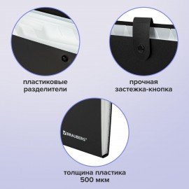 Папка-органайзер на кнопке 12 отделений, BRAUBERG "Extra", А4, черная с белым, 271930