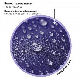 Ранец BRAUBERG PREMIUM, 2 отделения, с брелоком, "Anime cat", 38х29х16 см, 272017