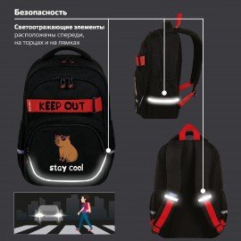 Рюкзак BRAUBERG MOTION, 2 отделения, 3 кармана, "Calm capy", СВЕТЯЩИЙСЯ, 41х28х17 см, 272032