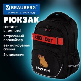 Рюкзак BRAUBERG MOTION, 2 отделения, 3 кармана, "Calm capy", СВЕТЯЩИЙСЯ, 41х28х17 см, 272032