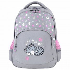 Рюкзак BRAUBERG SOFT, 2 отделения, 3 кармана, "Sleepy cat", СВЕТЯЩИЙСЯ, 40х31х15 см, 272035