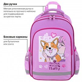 Рюкзак ПИФАГОР SCHOOL, 1 отделение, 3 кармана, "Fluffy akita", 38x28х14 см, 272084