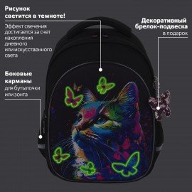 Рюкзак BRAUBERG OPTIMA, 2 отделения, с брелоком, "Butterfly catcher", СВЕТЯЩИЙСЯ, 36х27х18 см, 272097