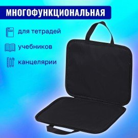 Папка на молнии с ручками BRAUBERG А4, 1 отделение, полиэстер, 20 мм, "Checkered", 272173