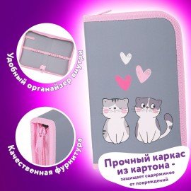 Пенал ЮНЛАНДИЯ, 1 отделение, картон с эффектом soft-touch, 19х11 см, "Sweet whiskers", 272261