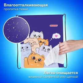 Мешок для обуви ПИФАГОР, 1 отделение, 42х34 см, "Cats greetings", 272382