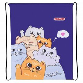 Мешок для обуви ПИФАГОР, 1 отделение, 42х34 см, "Cats greetings", 272382