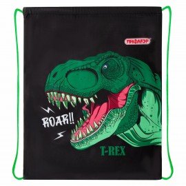 Мешок для обуви ПИФАГОР, 1 отделение, 42х34 см, "Dino roar", 272387