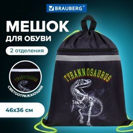 Мешок для обуви BRAUBERG, с петлей, светоотражающая полоса, 2 отделения, 46х36 см, Tyrannosaur, 272399