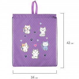 Мешок для обуви BRAUBERG KIDS, с петлей, 42х34 см, "Playing kittens", 272413
