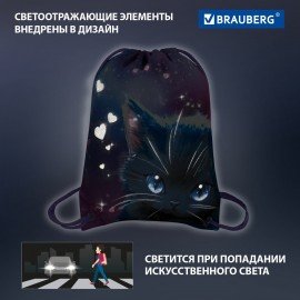 Мешок для обуви BRAUBERG PREMIUM, карман, подкладка, светоотражайка, 43х33 см, Anime cat, 272421