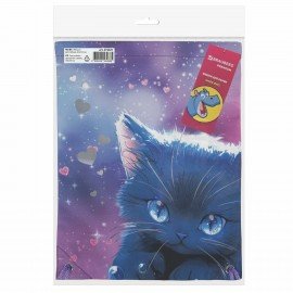 Мешок для обуви BRAUBERG PREMIUM, карман, подкладка, светоотражайка, 43х33 см, Anime cat, 272421