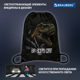 Мешок для обуви BRAUBERG PREMIUM, карман, подкладка, светоотражайка, 43х33 см, Dino attack, 272424