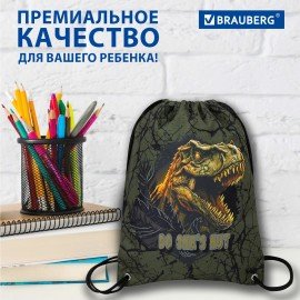 Мешок для обуви BRAUBERG PREMIUM, карман, подкладка, светоотражайка, 43х33 см, Dino attack, 272424