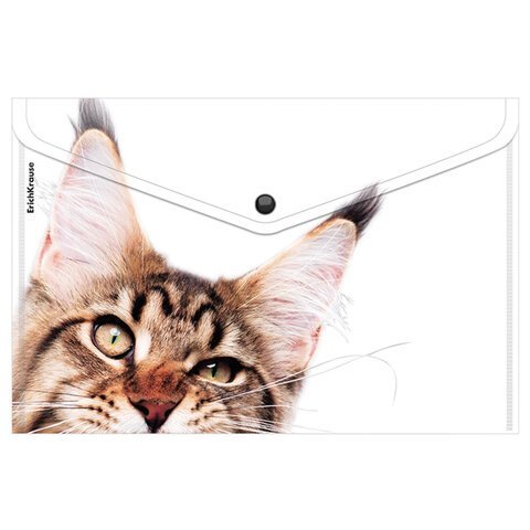 Папка-конверт на кнопке пластиковая ERICH KRAUSE "Hiding Cats", A4, ассорти, 61155