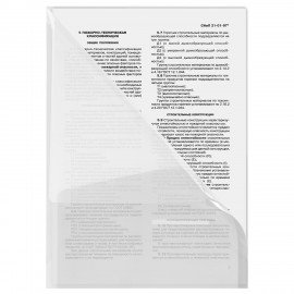 Папка-уголок 2 кармана А4 BRAUBERG SPECIAL, прозрачная, 0,18 мм, 273059