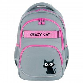 Рюкзак BRAUBERG MOTION, 2 отделения, 3 кармана, "Crazy cat", 41х28х17 см, 273115