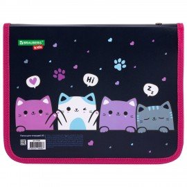 Папка для тетрадей BRAUBERG KIDS А5, 1 отделение, пластик, молния вокруг, Anti-gravity, 273323