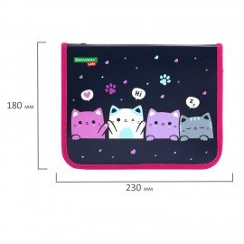 Папка для тетрадей BRAUBERG KIDS А5, 1 отделение, пластик, молния вокруг, Anti-gravity, 273323