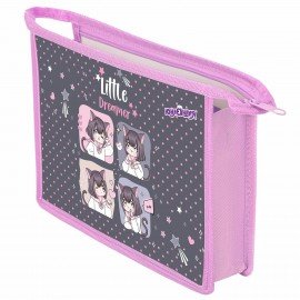 Папка для тетрадей ЮНЛАНДИЯ А4, 1 отделение, пластик, на молнии, Anime dreamer, 273349