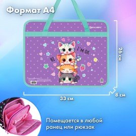 Папка на молнии с ручками BRAUBERG А4, 1 отделение, пластик, 80 мм, Funny kittens, 273368