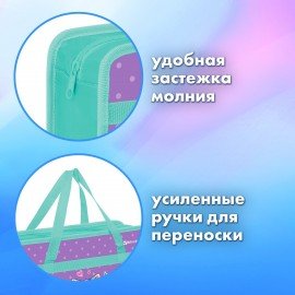 Папка на молнии с ручками BRAUBERG А4, 1 отделение, пластик, 80 мм, Funny kittens, 273368