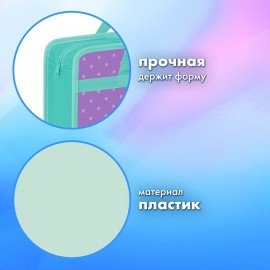 Папка на молнии с ручками BRAUBERG А4, 1 отделение, пластик, 80 мм, Funny kittens, 273368